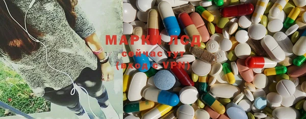 apvp Белокуриха